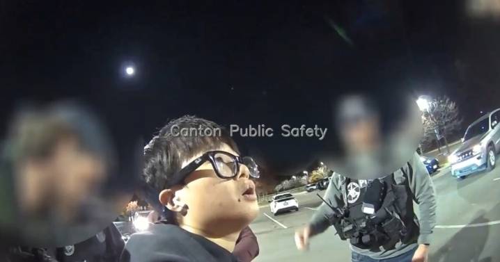 California woman arrested in Michigan for alleged retail fraud scheme