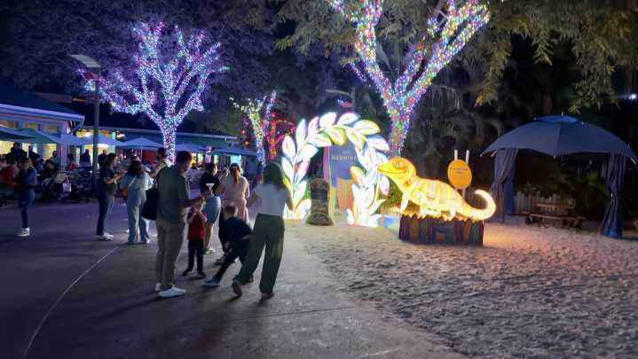ILLUMINATE nueva experiencia navideña nocturna en Aquatica Orlando