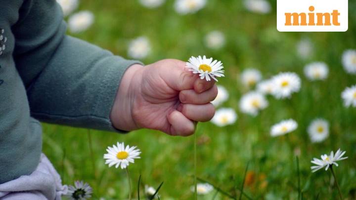 Shocking: Man plots murder of his own 7-year-old son for insurance money