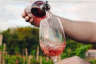 Negocio del vino. Sturzenegger viaja a Mendoza para hablar de la desregulación en la industria