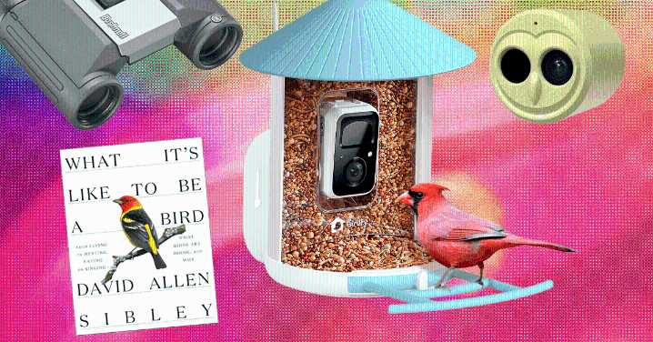 These Are Our 19 Favorite WIRED Gifts for Bird Lovers