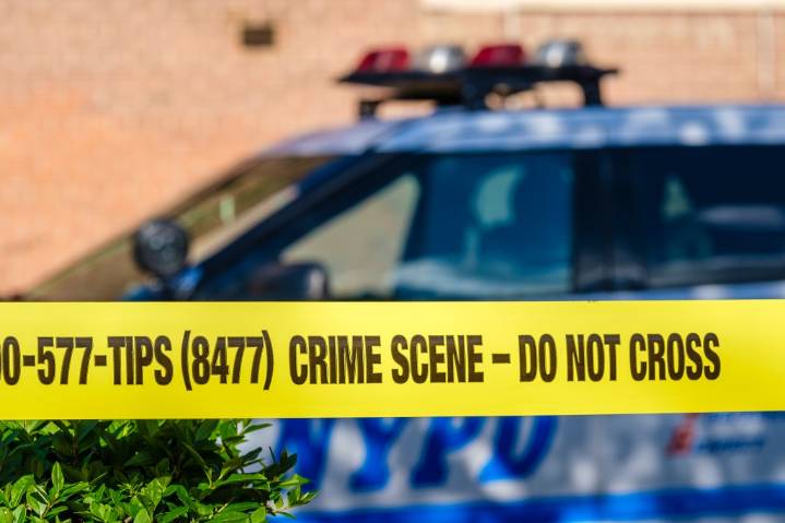 Dead infant found in bag under pile of leaves behind Brooklyn NYCHA building