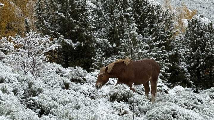 El frío polar congela Catalunya: temperaturas bajo cero, previsión de nevadas en cotas bajas y fuerte viento