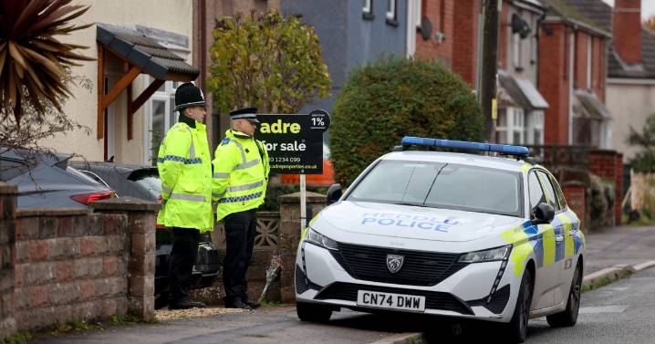 Baby boy killed by XL bully while staying at father's house named