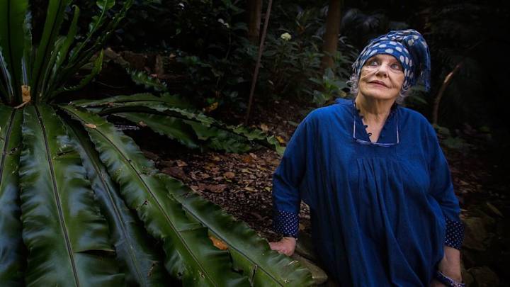 Wendy Whiteley garden: Art scene icon joins fight against Lavender Bay apartment towers