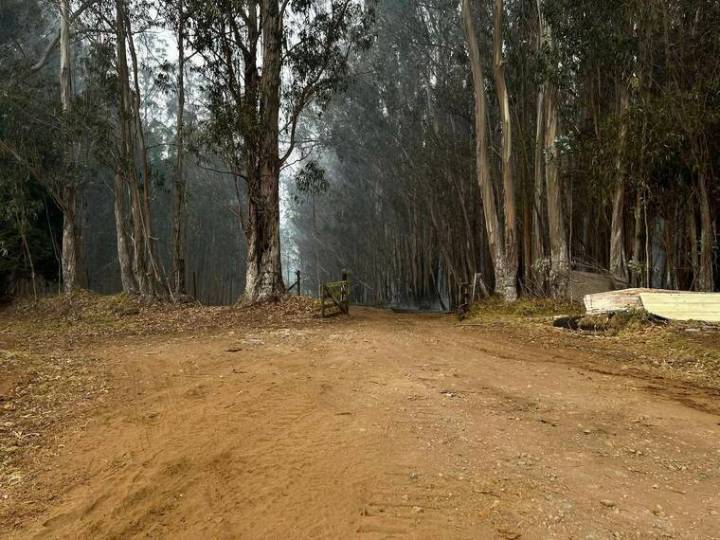 It could be a not-so-wet rainy season for the Big Island