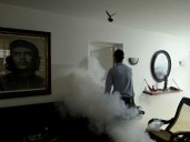 Cuban authorities battle wave of mosquito
