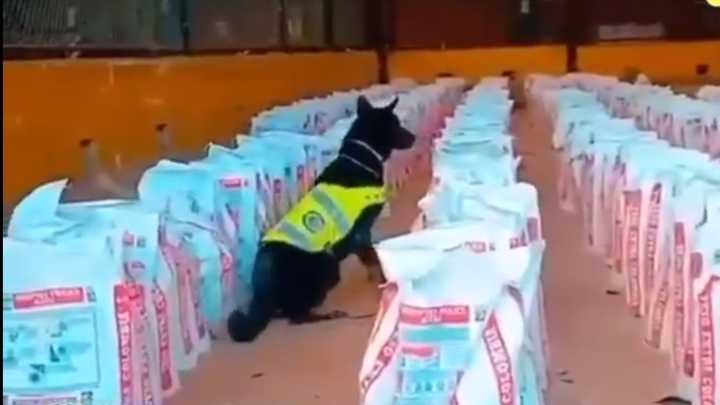 Incautan catorce toneladas de cocaína en el principal puerto de Buenaventura en el Pacífico