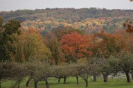 Geauga County Park District levy ahead in early count