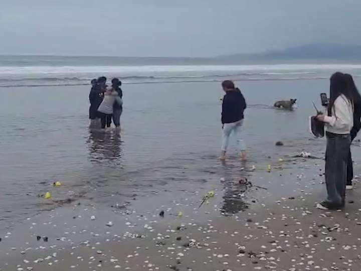 Termina la búsqueda del adolescente sanjuanino desaparecido en La Serena: la emotiva ceremonia de la familia junto a la playa