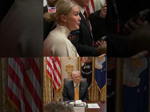 Trump, Karoline Leavitt clash with 'fake news' over Thanksgiving prices