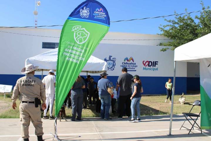 Este jueves, servicios gratuitos para perros y gatos en colonia Insurgentes