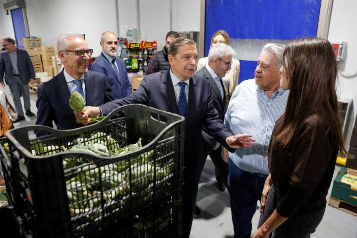 El Gobierno no activará la retirada de aceite de oliva para esta campaña