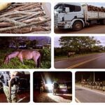 La policía incauta arma y cargamento de leña...