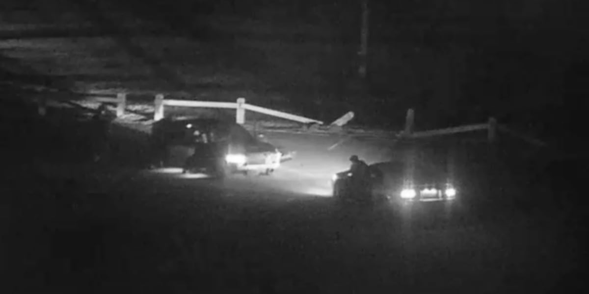 Danville Police looking for drivers who vandalized park with burnouts