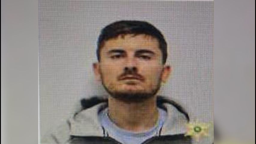 Man accused of stabbing woman to death before setting himself on fire dies