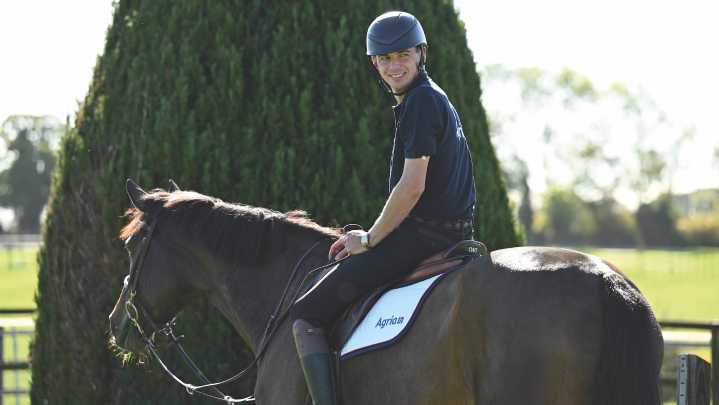 Joe Stockdale on the importance of turnout and a varied routine for horses