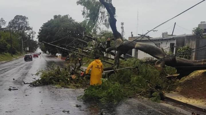 Dos tornados dejaron severos destrozos en Misiones y el sur de Brasil Si bien los daños fueron considerables, hasta el momento no se registraron víctimas ni heridos. Se produjeron numerosos cortes de 