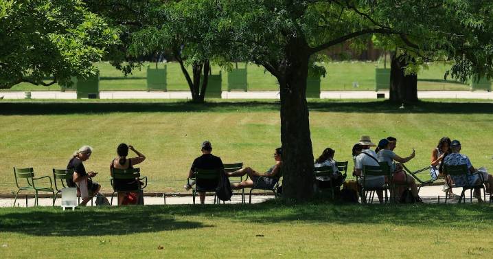 Mayor seguridad y calidad del medio ambiente: por qué la gente era más feliz hace 50 años, según sondeo global de Ipsos