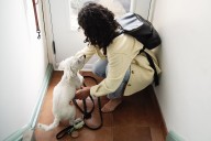 Mom Upset Daughter Brought Home a Lost Dog