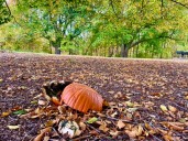 Don’t trash the pumpkins, leave those leaves: Louisville Grows talks composting