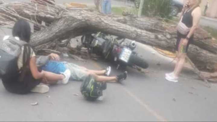 Viento Zonda: más de 280 incidentes, heridos y graves daños