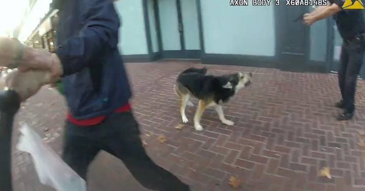 San Francisco police release video showing what led an officer to shoot a man and a dog