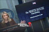 Trump sigue “muy interesado en tomar medidas adicionales” contra cárteles en México: Casa Blanca