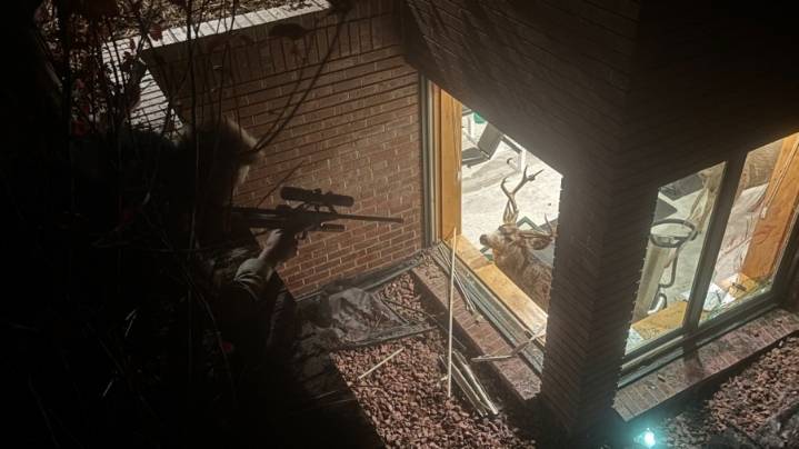 Bucks rescued after 'late-night showdown' lands them in home's basement gym