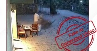 Fact-Check: Is video of tiger attack in Maharashtra AI