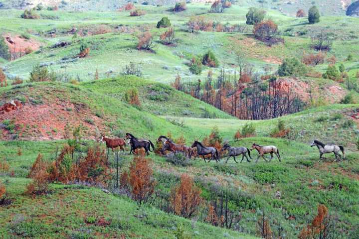 Reconstructed road opens grand views at Theodore Roosevelt National Park in North Dakota