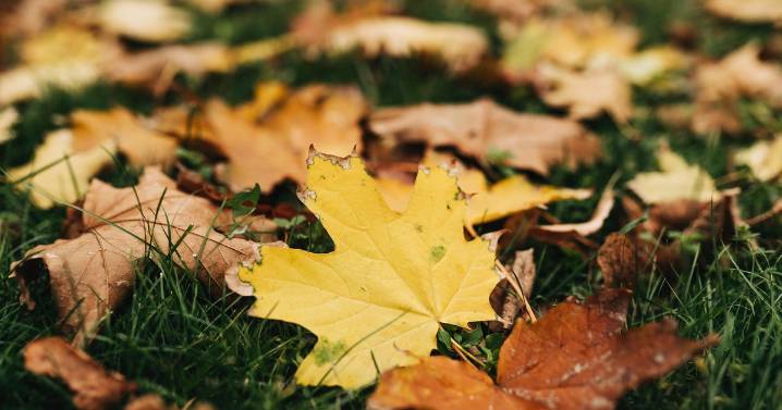 Breezy, sunny Monday begins mostly mild week in Twin Cities