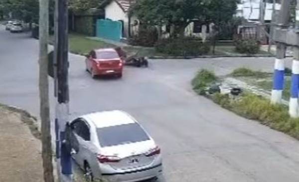 VIDEO. Así un auto atropelló a un caballo y el jinete terminó con la cadera rota: buscan al conductor