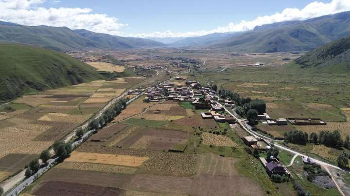 After 28 years, Punjab & Haryana HC rules village common land belongs to proprietors, not municipal body