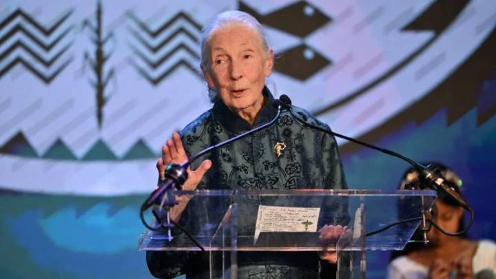 Famosos y activistas rinden homenaje a Jane Goodall