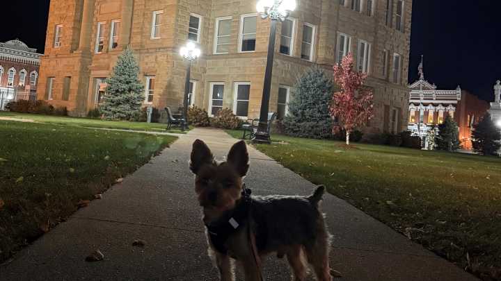 Iowa’s 99: From Mills County to Henry County | Guest Column Anna Barker