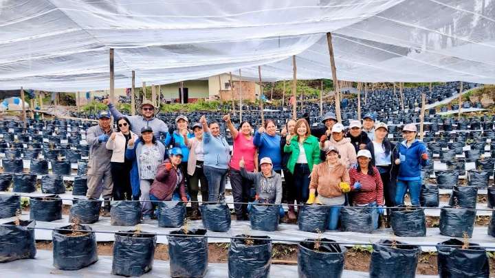 Mujeres de Nariño siembran futuro con arándanos: la apuesta de la congresista Teresa Enríquez por la asociatividad campesina