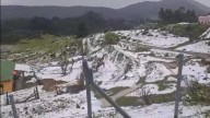 Impresionante granizada cubrió de blanco a La Calera este domingo