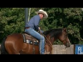 Program for veterans with PTSD uses horses to help them heal