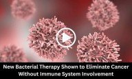 New Bacterial Therapy Shown to Eliminate Cancer Without Immune System Involvement: Study