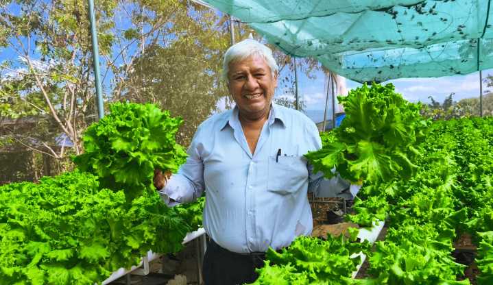 Más que un milagro: Agricultor de 70 años recupera la vista y regresa a trabajar