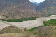 La Libertad: reforestarán área de conservación regional en Bolívar