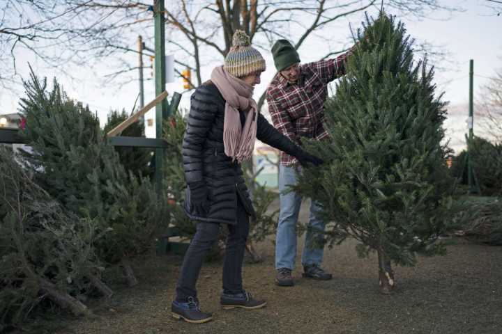 Try this: Wreath festival, Christmas tree sale, swing dance