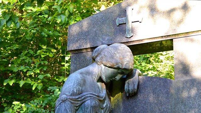 Poll: Vote Now to Determine What the Daily Bonnet Should Write on Remembrance Day