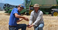 Northern NSW farmers rush to harvest before weekend storms