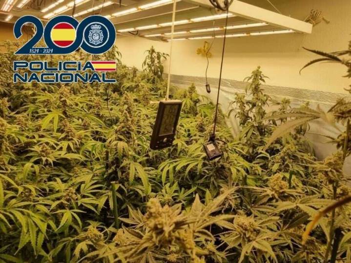 La Policía Nacional desmantela cultivos ilegales y se incauta de cocaína en una operación