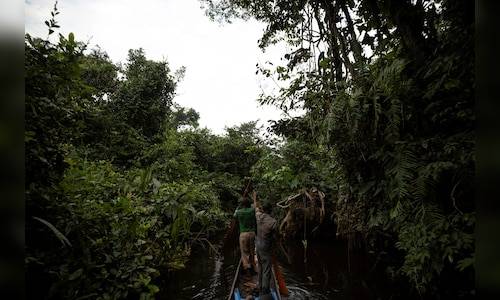 France leads $2.5 billion initiative to safeguard Congo's forest