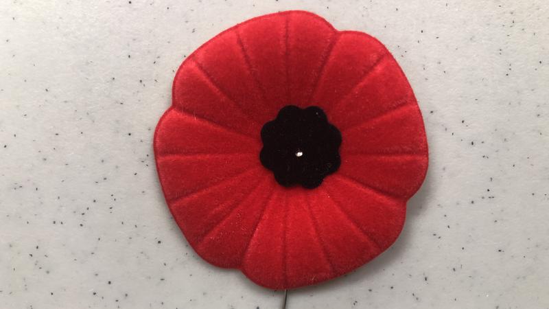 Remembrance Day ceremonies in Lethbridge
