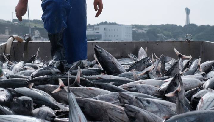 La Sabana y el Sena desarrollan modelo sostenible de acuicultura para zonas áridas