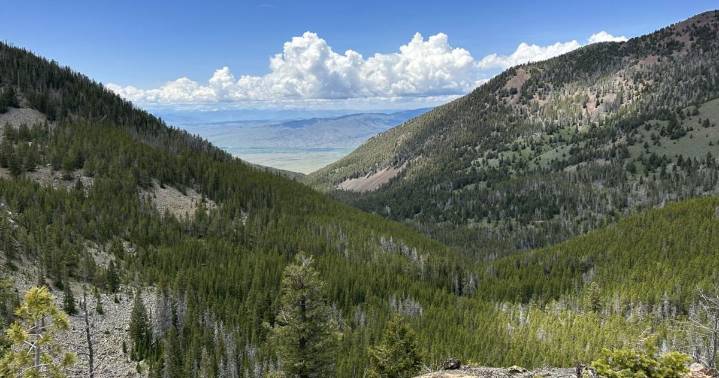 600-acre parcel in Tobacco Roots donated by The Conservation Fund